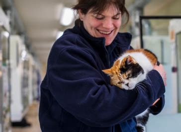 rspca pet portal